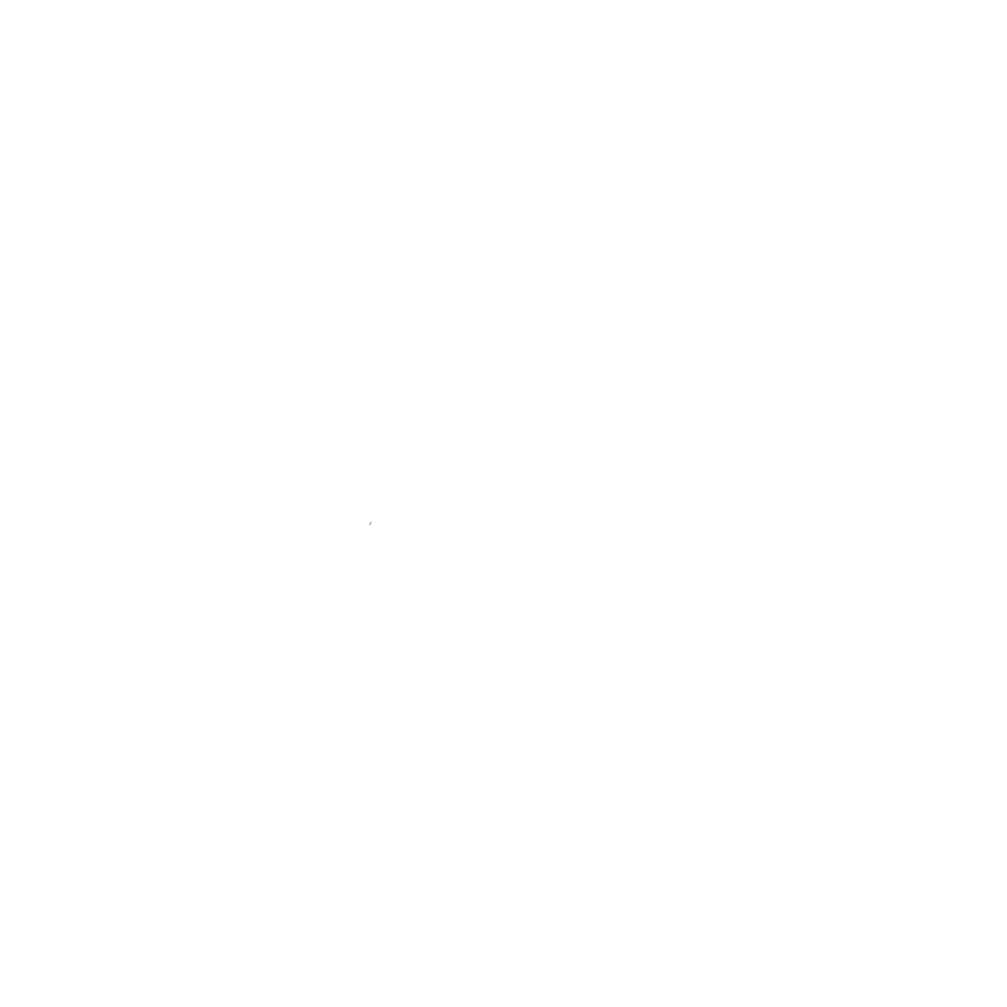 Logo Eyez4eyeZ blanc